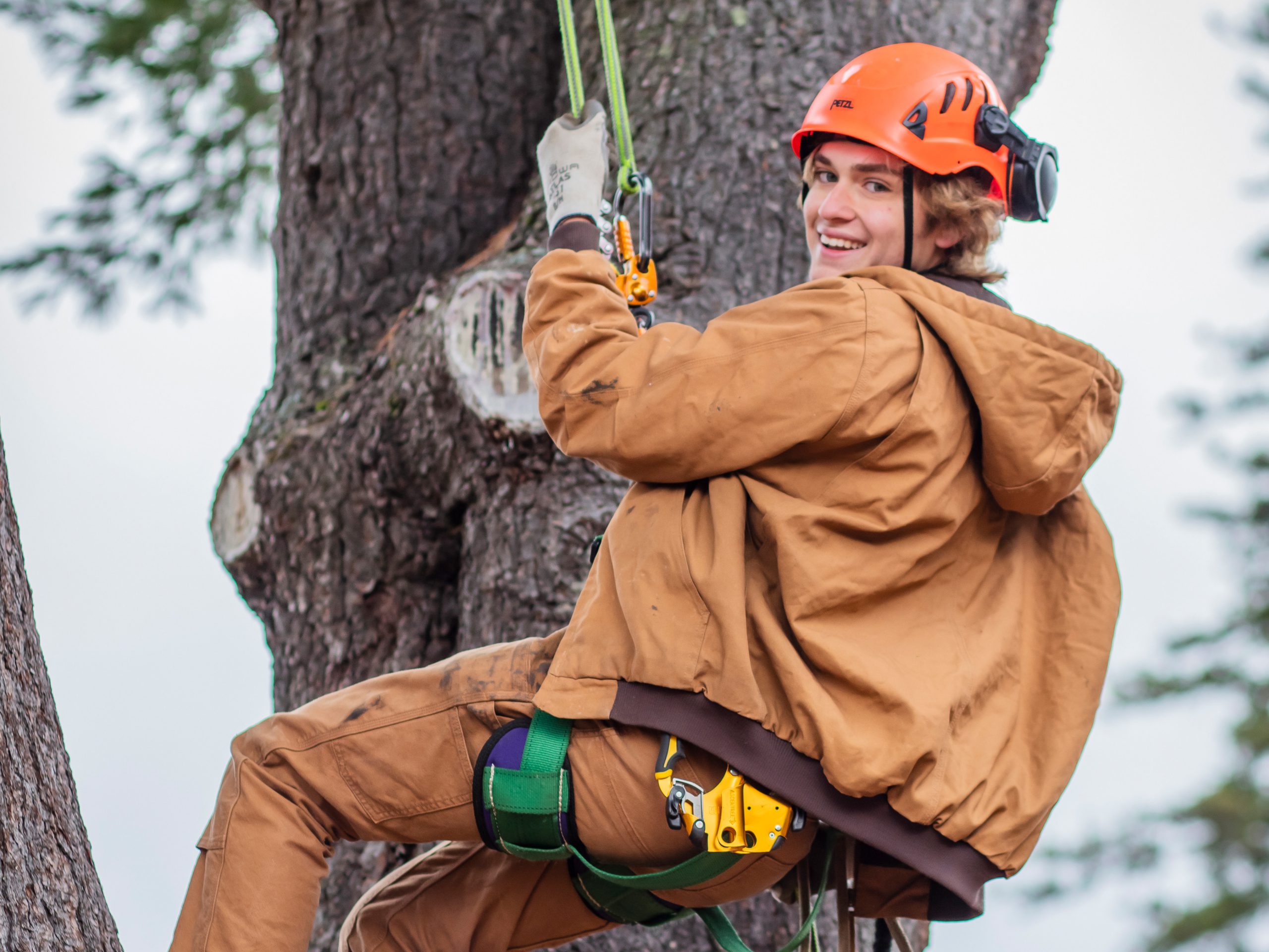 Nautral resource science student on rappel attached to tree