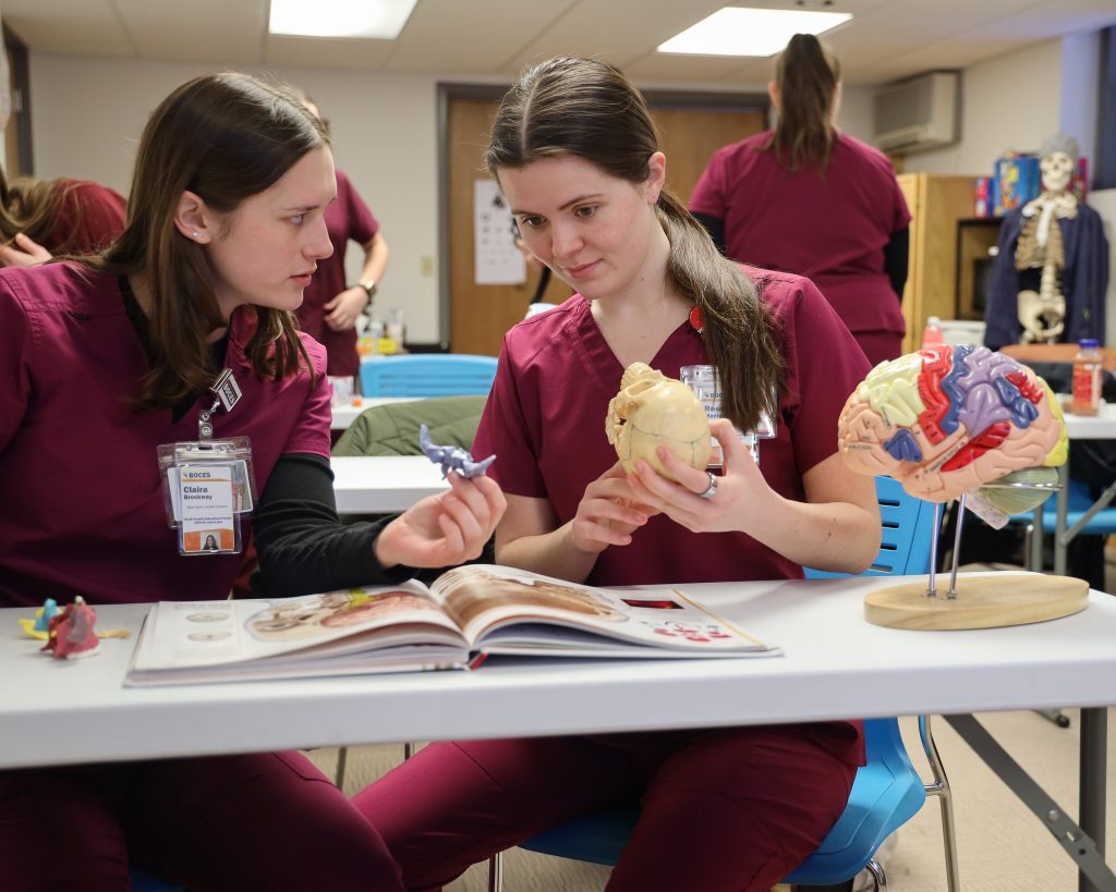 New vision health students studying anatomy