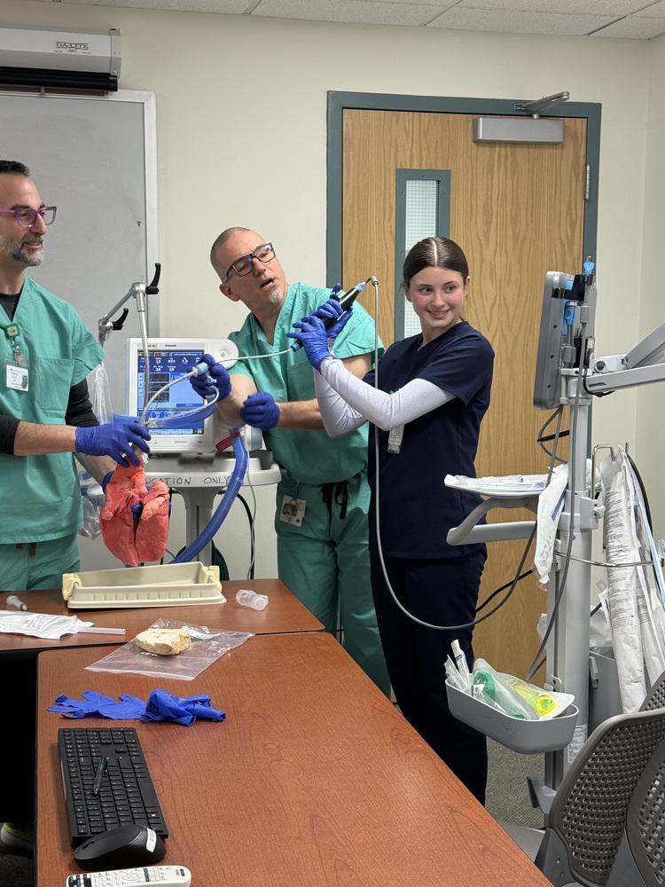 Student utilizing a scope in a pig's lung