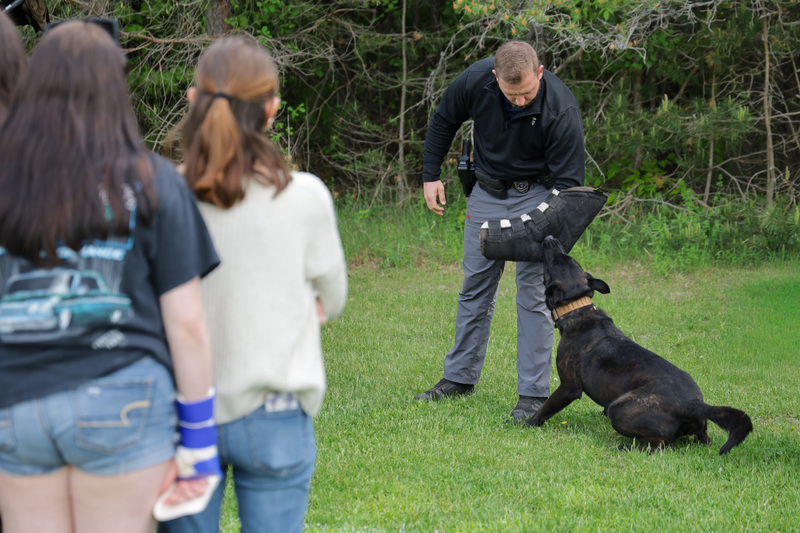 man having a dog bite his arm as people watch.